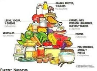 Pirámide alimenticia