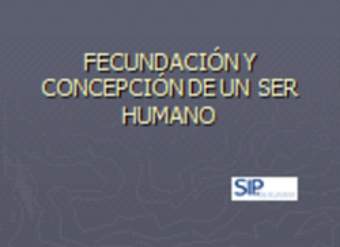 Fecundación y concepción de un ser humano