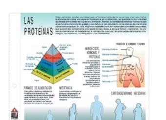 Proteínas