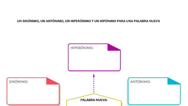 Sinónimo, antónimo, hiperónimo e hipónimo para una palabra nueva