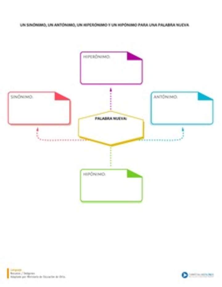 Sinónimo, antónimo, hiperónimo e hipónimo para una palabra nueva