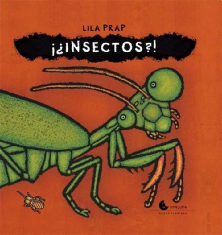 Insectos