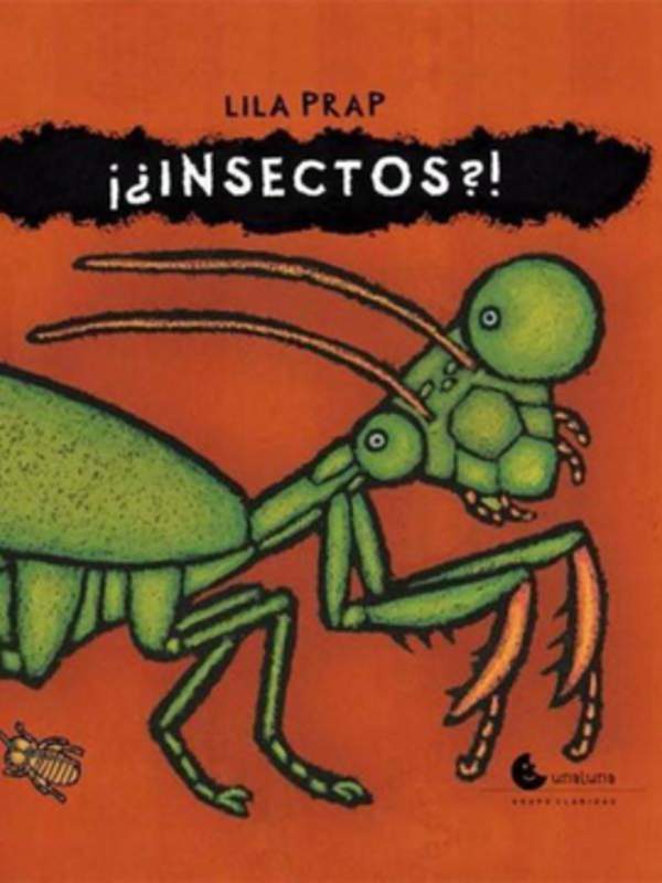 Insectos
