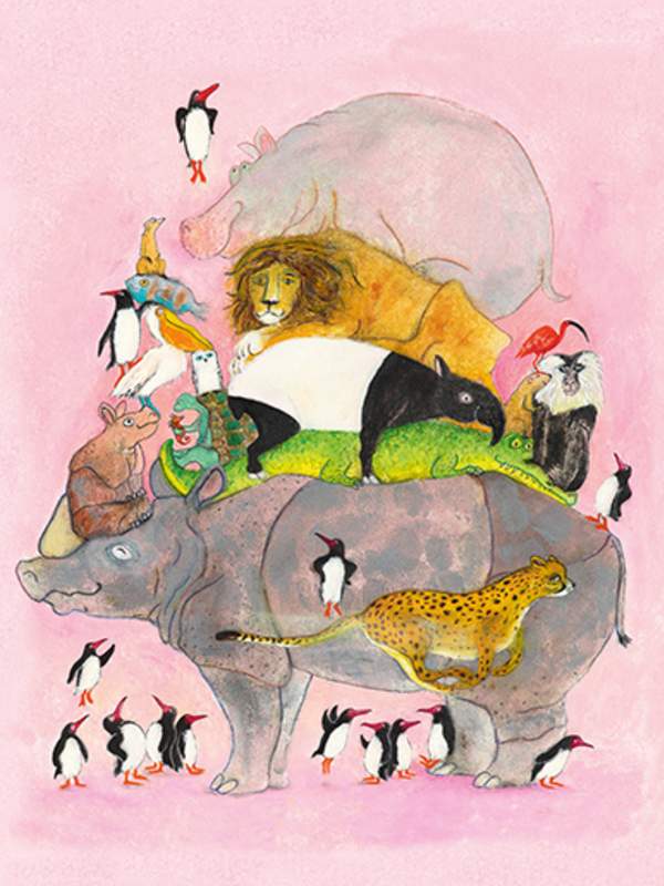 Zoolibro