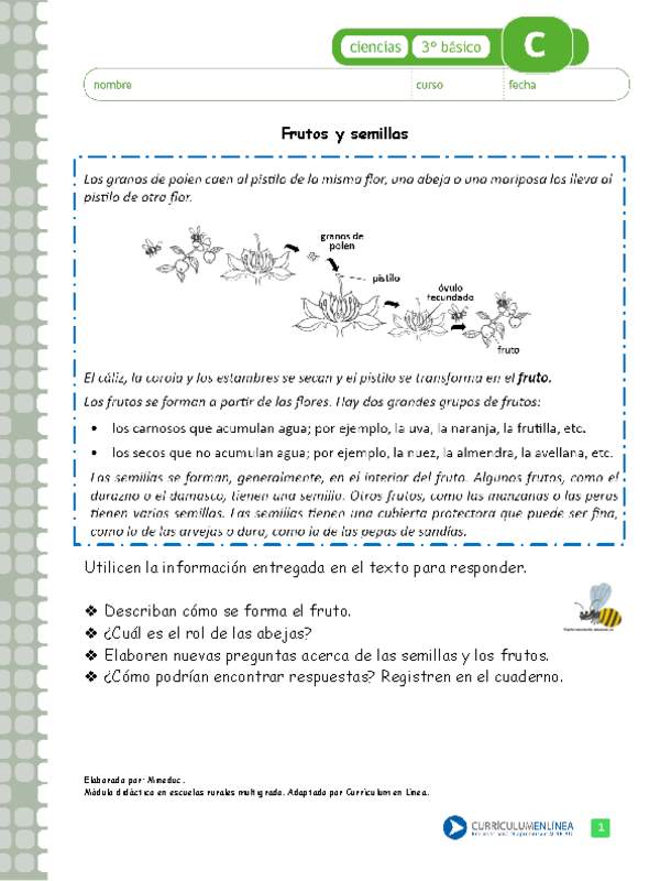 Frutos y semillas