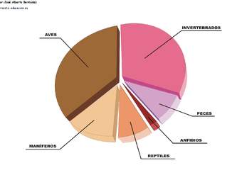 Grupos de animales en peligro de extinción en España