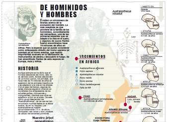 Historia de homínidos y hombres