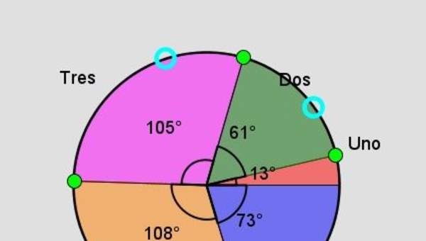 Diagrama circular y de puntos