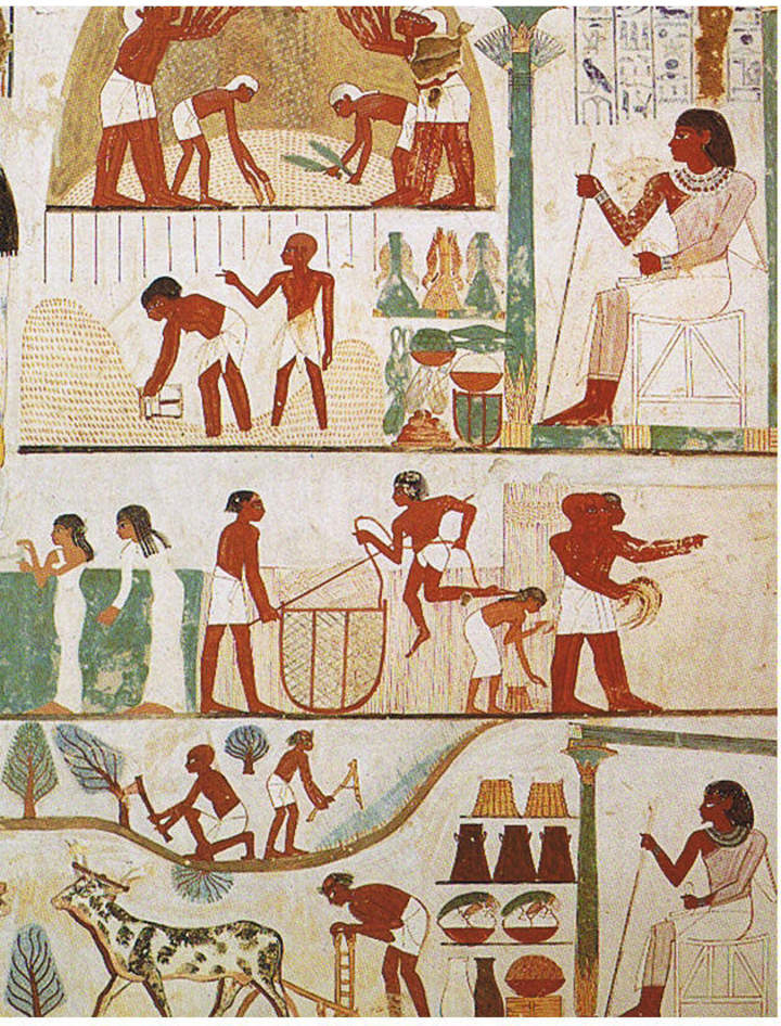 Mural Egipto agricultores en la tumba de Nakht