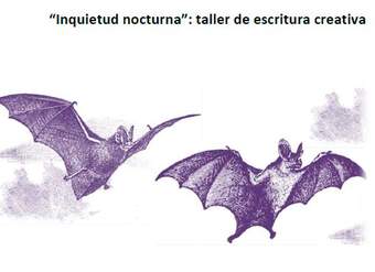 Taller de escritura: Inquietud nocturna