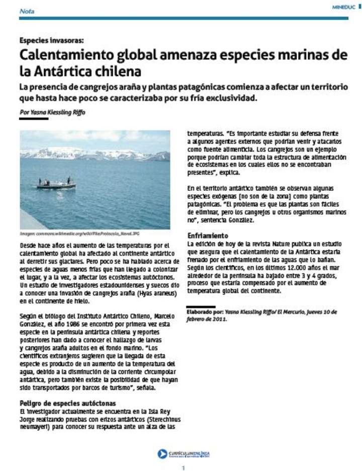 Calentamiento global amenaza especies marinas de la Antártica chilena