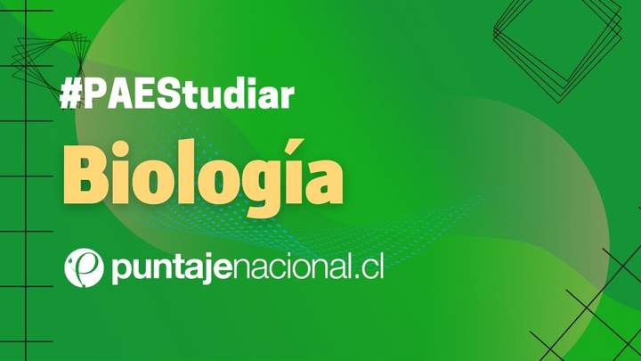 #PAES | Biología | Ejercicios: Sexualidad y reproducción humana