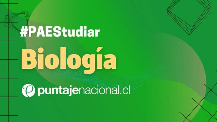 #PAES | Biología | Resumen: Procesos y funciones biológicas
