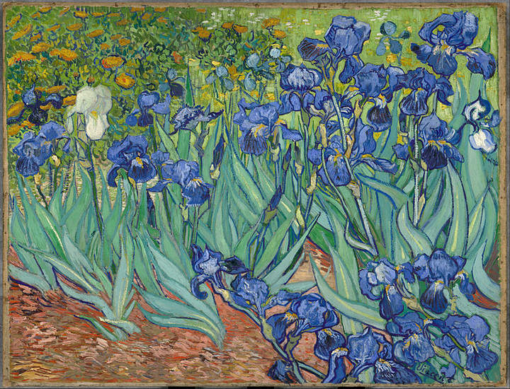 Irises de Vincent Van Gogh