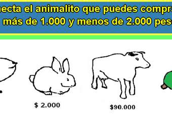 ¿Qué animal puedo comprar?