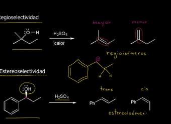 Regioselectividad, estereoselectividad y estereoespecificidad | Khan Academy en Español
