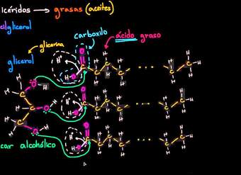 Estructura molecular de los triglicéridos (grasas) | Biología | Khan Academy en Español
