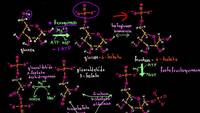 Pasos de la glucólisis | Respiración celular | Biología | Khan Academy en Español