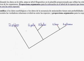 2015 Respuesta libre AP Biología 3 | Biología | Khan Academy en Español