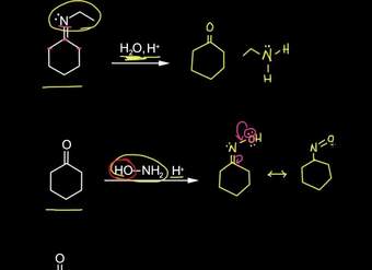 Formación de oximas e hidrazonas