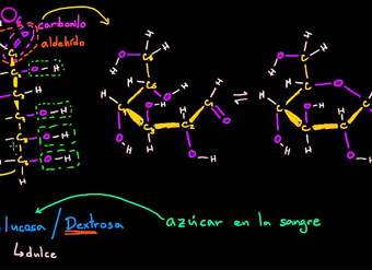 Estructura molecular de la glucosa | Macromoléculas | Biología | Khan Academy en Español