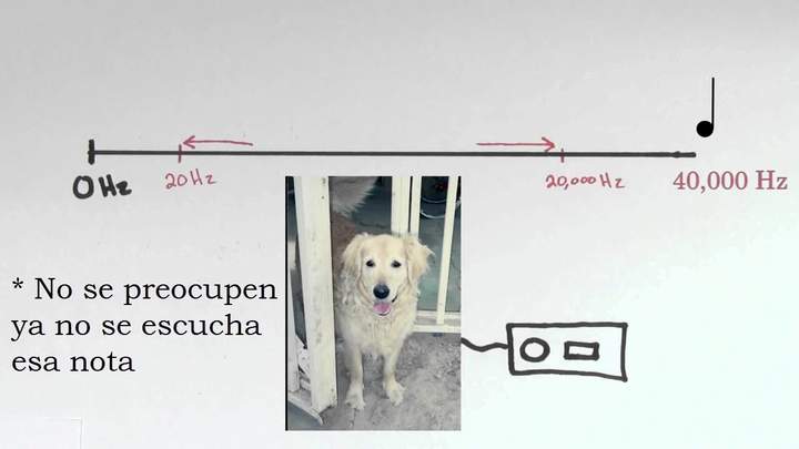 Propiedades del sonido (amplitud, periodo y frecuencia) | Física | Khan Academy en Español