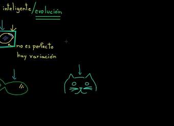 Diseño inteligente y evolución | Biología | Khan Academy en Español