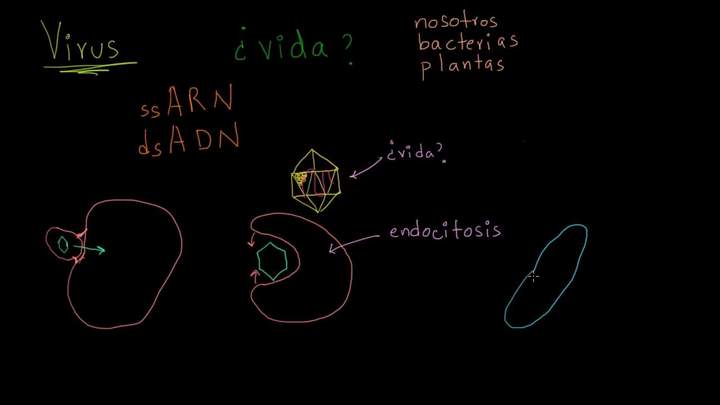 Virus | Herencia y evolución | Biología | Khan Academy en Español