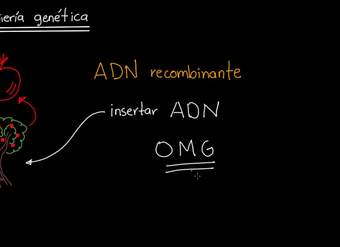 Introducción a la ingeniería genética | Khan Academy en Español