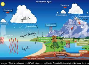 El ciclo del agua | Ecología | Biología | Khan Academy en Español