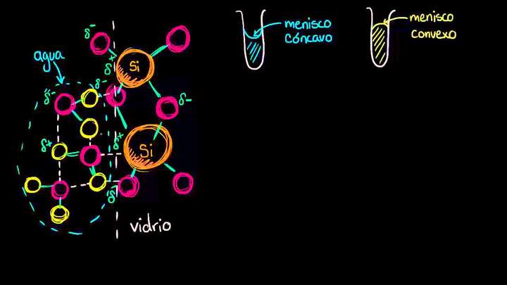 Acción capilar y por qué vemos un menisco | Biología | Khan Academy en Español