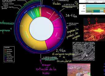 La capa de ozono y las eucariotas aparecen en el eón proterozoico | Khan Academy en Español