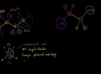 Proyecciones de Newman 2