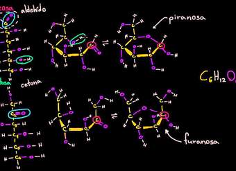 Estructura molecular de la fructosa | Macromoléculas | Biología | Khan Academy en Español