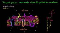 Transporte pasivo y permeabilidad selectiva | Biología | Khan Academy en Español