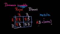 Divertidos cuadros de Punnett | Herencia y evolución | Biología | Khan Academy en Español