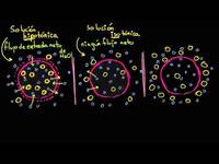 Soluciones hipotónicas, isotónicas e hipertónicas (tonicidad) | Biología | Khan Academy en Español