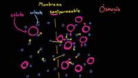 Ósmosis | Membranas y transporte | Biología | Khan Academy en Español