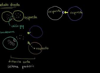 Generalidades de la comunicación celular | Biología | Khan Academy en Español