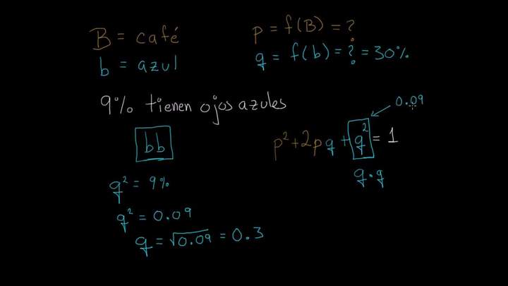 Aplicación de la ecuación Hardy Weinberg | Biología | Khan Academy en Español