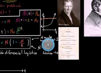 Intuición sobre la ecuación diferencial logística