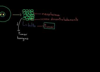Cáncer | División celular | Biología | Khan Academy en Español