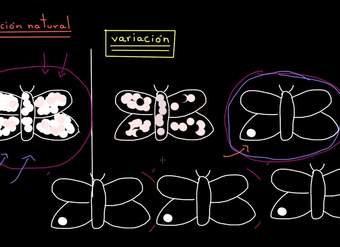 Introducción a la evolución y la selección natural | Biología | Khan Academy en Español