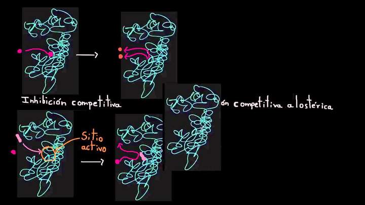 Inhibición competitiva | Energía y enzimas | Biología | Khan Academy en Español