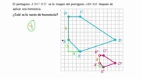 Ejemplos sobre la razón de homotecia | Khan Academy en Español