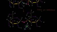 Síntesis por deshidratación o reacción de condensación | Biología | Khan Academy en Español
