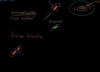 Bacterias | Herencia y evolución | Biología | Khan Academy en Español