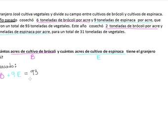 Cómo resolver un problema sobre un sistema de ecuaciones con soluciones infinitas. Ejemplo