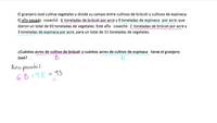 Cómo resolver un problema sobre un sistema de ecuaciones con soluciones infinitas. Ejemplo