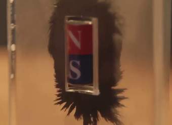 Descubrimiento de los campos magnéticos | Física | Khan Academy en Español